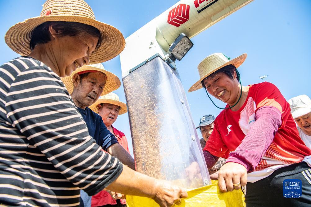 送彩金软件合集